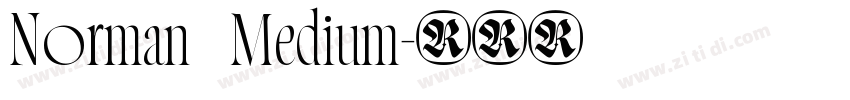 Norman   Medium字体转换